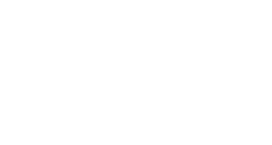 Rainbow Amour Biewer Terriers